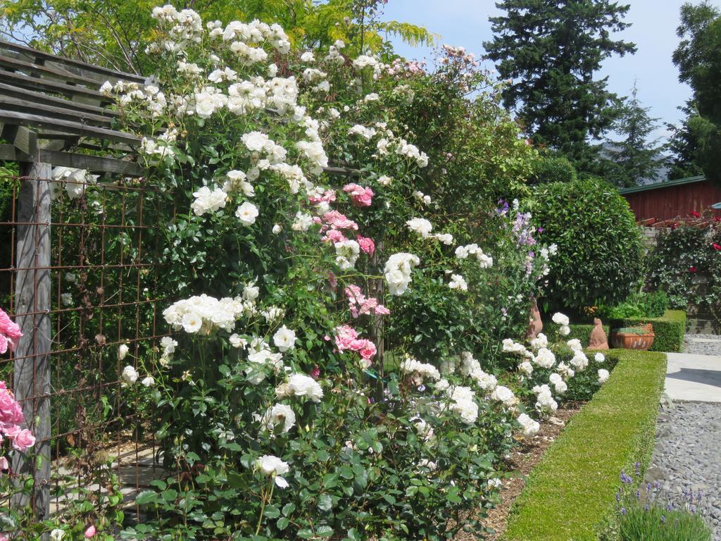 Marchmont Gardens Bed and Breakfast Hanmer Springs Eksteriør billede