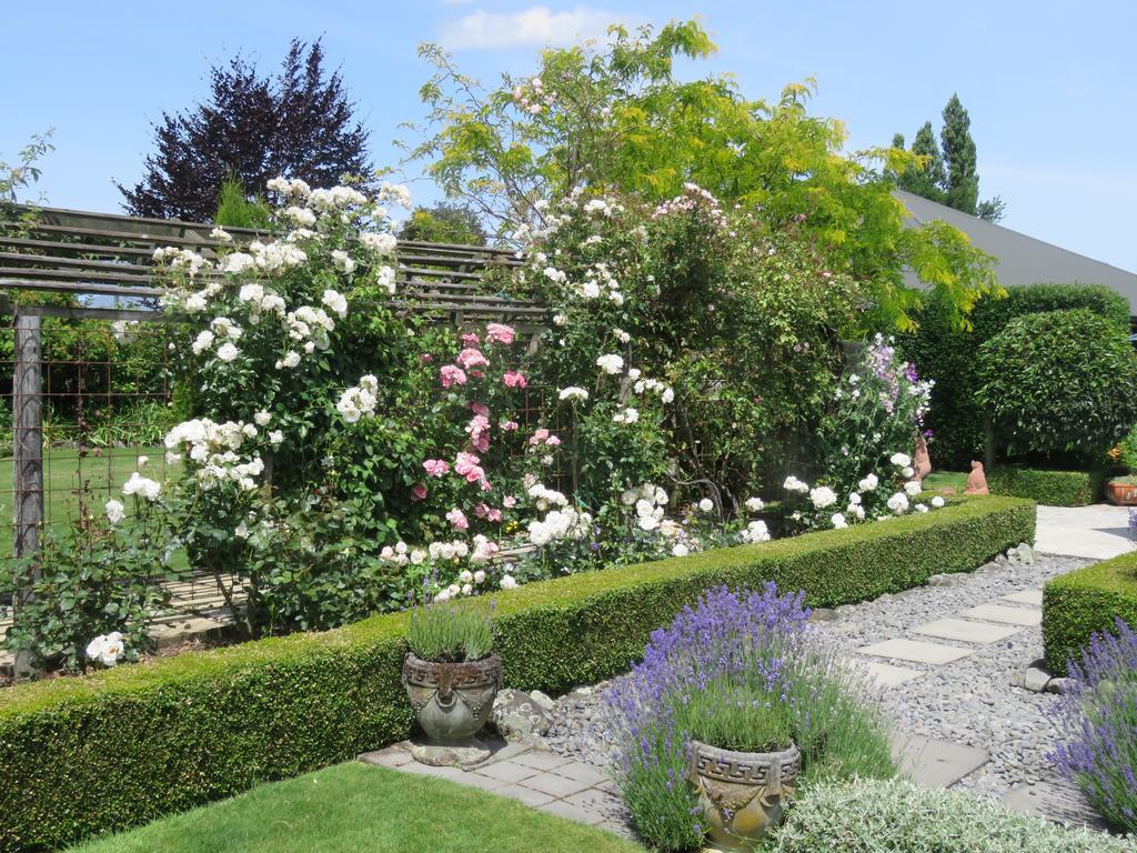 Marchmont Gardens Bed and Breakfast Hanmer Springs Eksteriør billede
