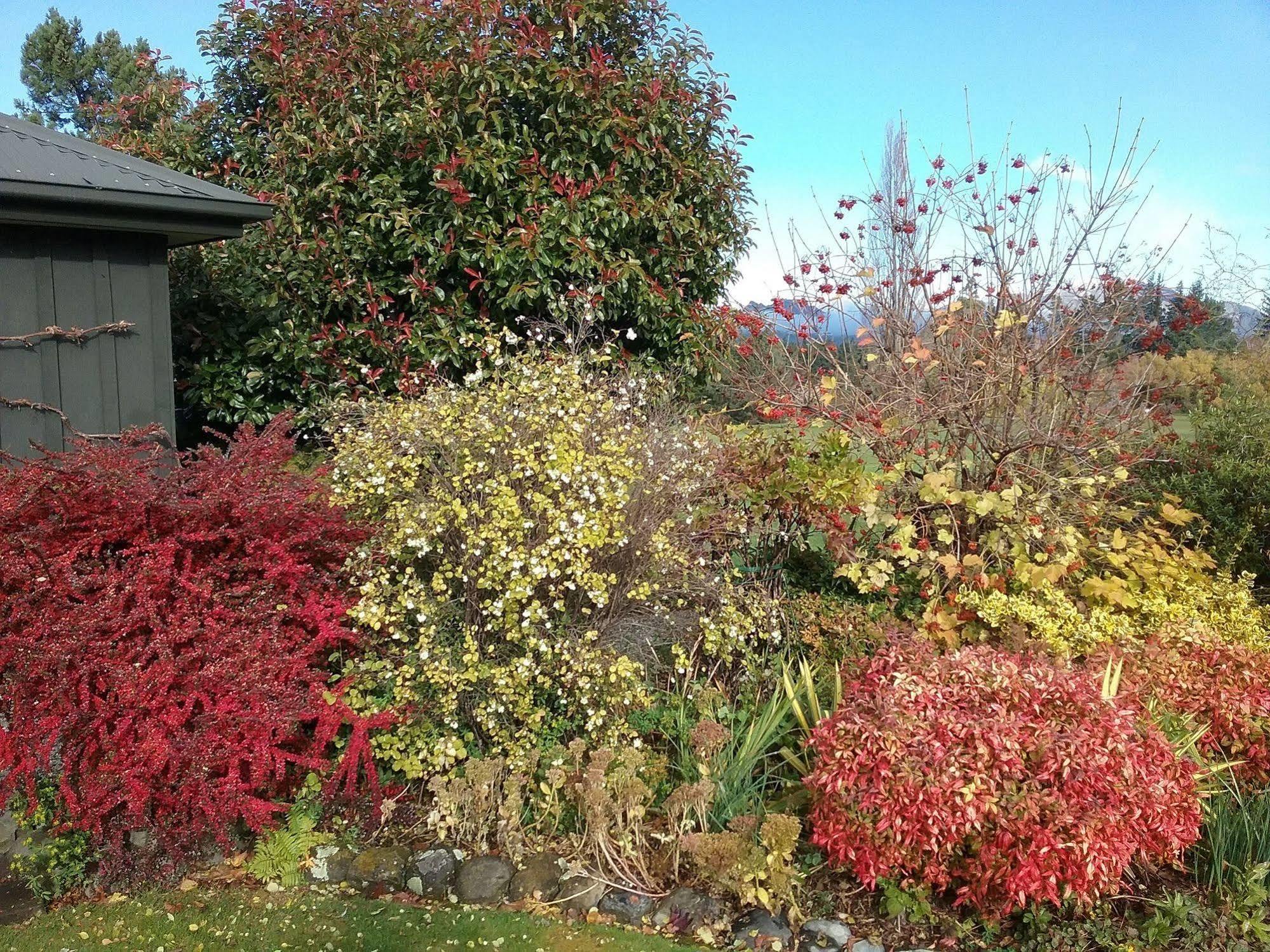 Marchmont Gardens Bed and Breakfast Hanmer Springs Eksteriør billede