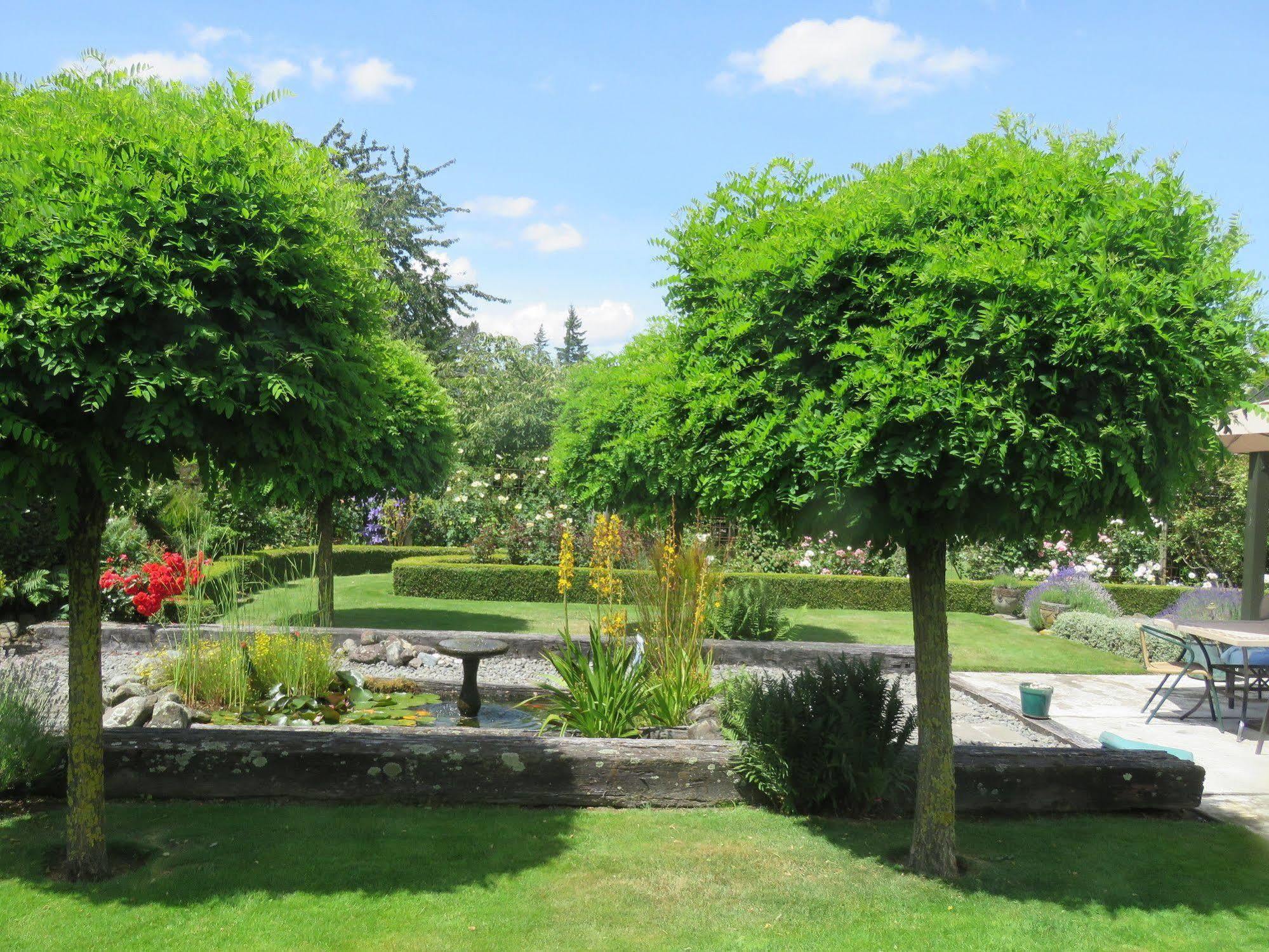 Marchmont Gardens Bed and Breakfast Hanmer Springs Eksteriør billede