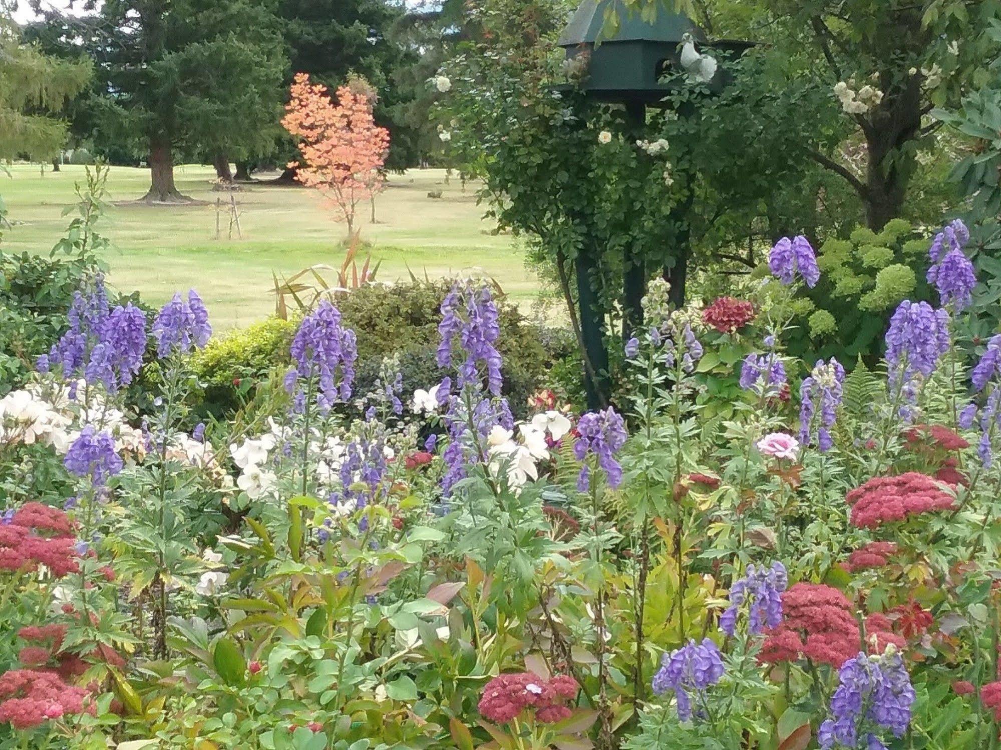 Marchmont Gardens Bed and Breakfast Hanmer Springs Eksteriør billede