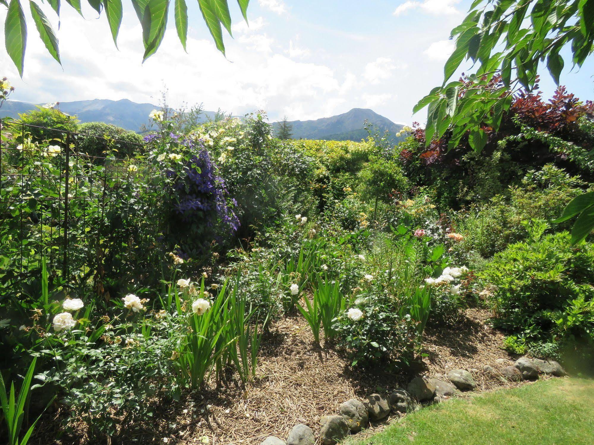 Marchmont Gardens Bed and Breakfast Hanmer Springs Eksteriør billede